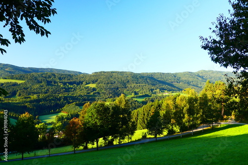 niederösterreichische Waldlandschaft