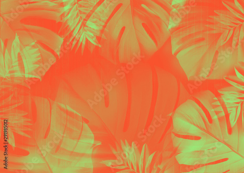Tropical background with green Monstera leaves on a coral red background