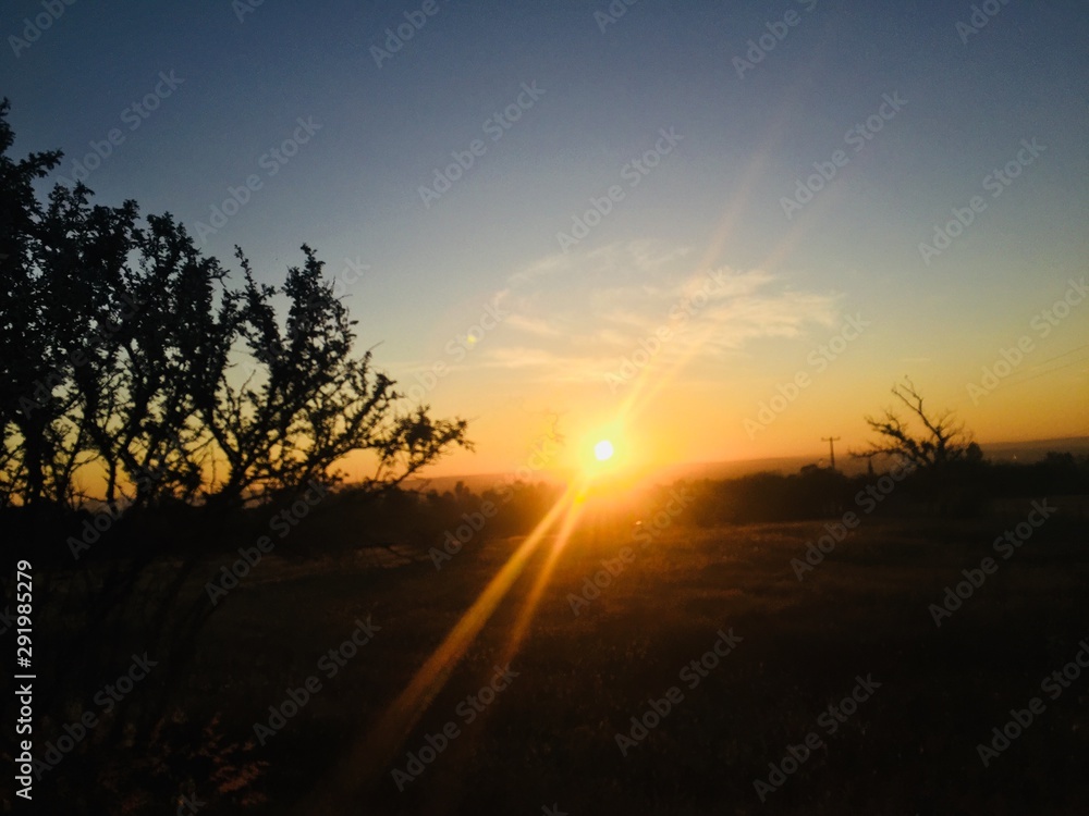 Obraz premium Amanecer en desierto