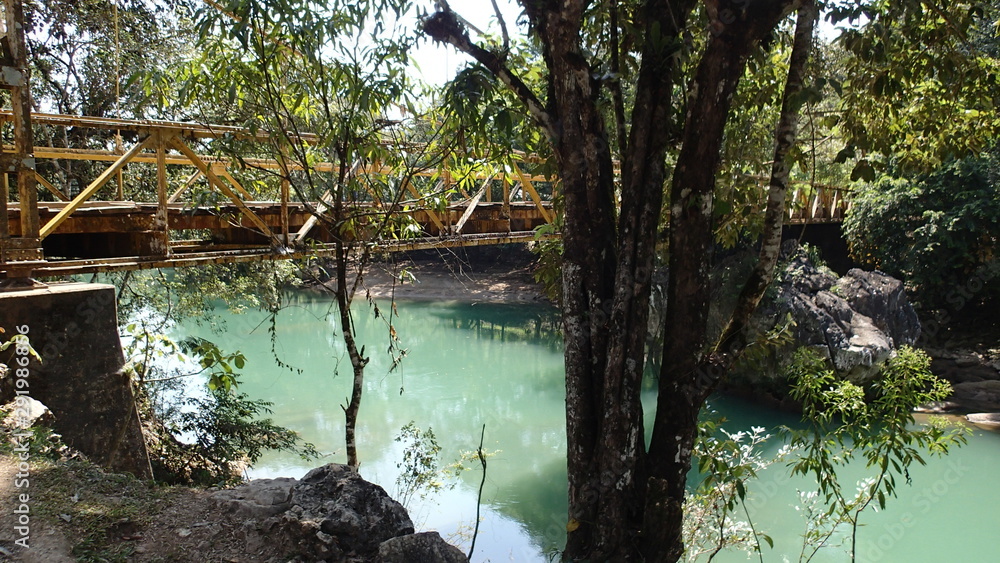 river in forest river in forest