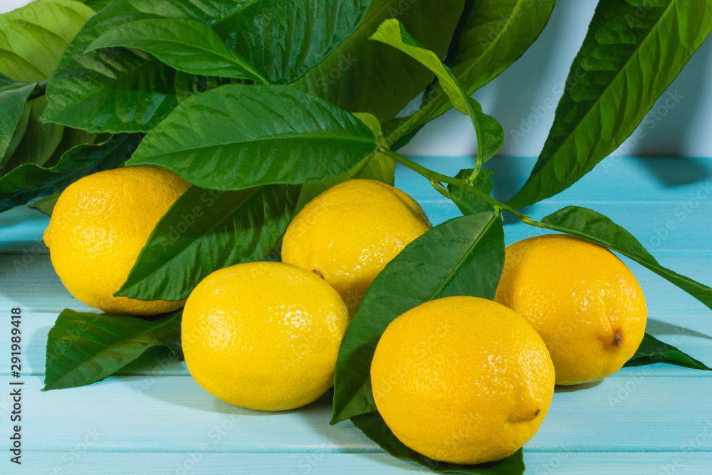 fresh lemons with a branch on blue wooden table