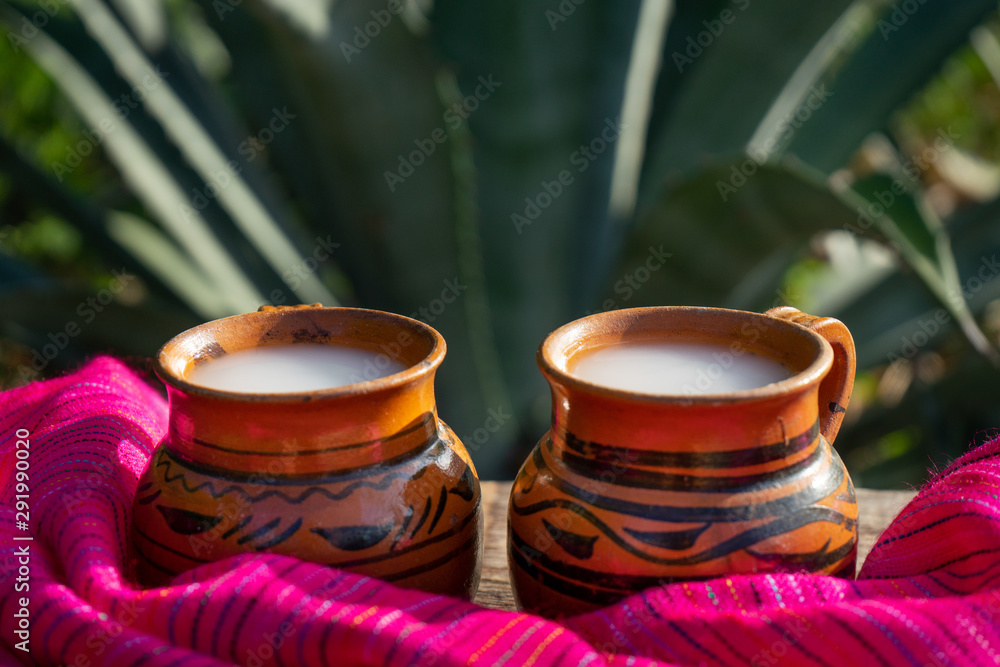 Mexican fermented beverage called Mexican fermented beverage called