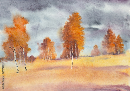 autumn birches in the field