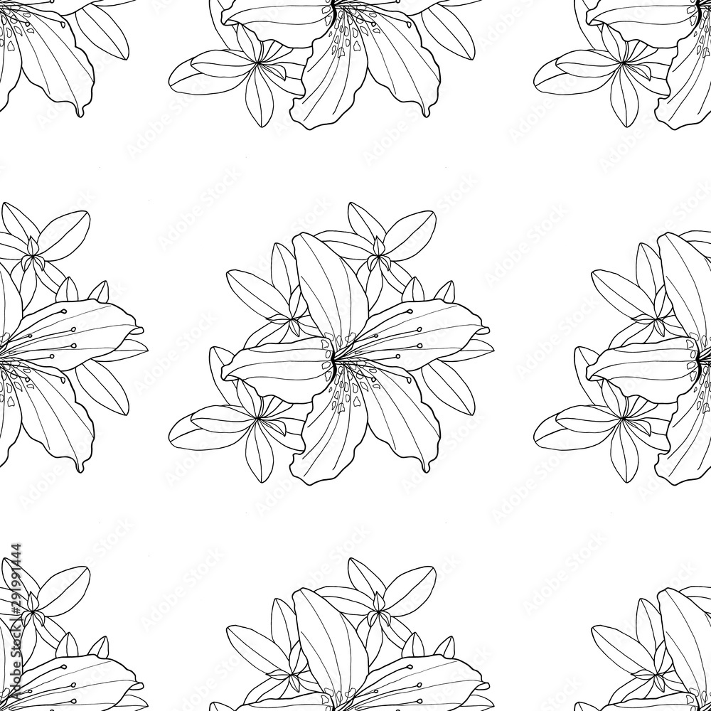 Plakat Outline decorative Rhododendron and Lily flower seamless pattern. Botanical hand drawn black and white contour monochrome illustration for textile, coloring book, greeting card, print, fashion design
