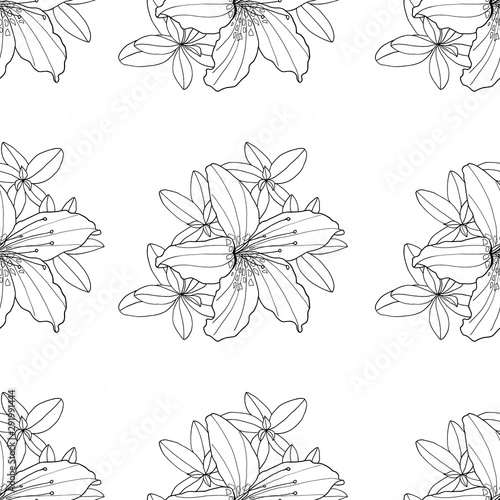 Outline decorative Rhododendron and Lily flower seamless pattern. Botanical hand drawn black and white contour monochrome illustration for textile, coloring book, greeting card, print, fashion design