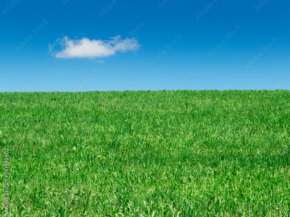 Obraz premium Grassland and sky with cloud
