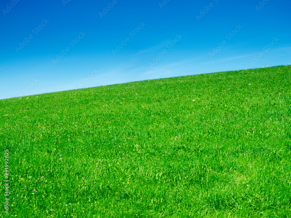 Fototapeta premium Grassland with blue sky hilly