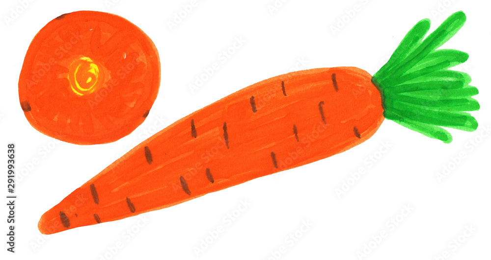 set of carrots and slices of carrots. raster illustration, felt-tip pen drawing set of carrots and slices of carrots. raster illustration, felt-tip pen drawing