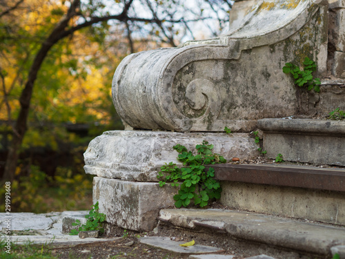 Dilapidated and abandoned palace of the 19th century. Ancient stone staircase. Green grass grows through the stones. © Elena