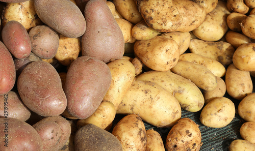 potatoes of mountains for sale at market