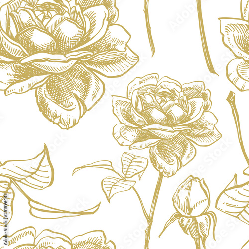 Roses. Hand drawn flower set illustrations. Botanical plant illustration. Vin...
