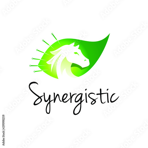 Animal Equine Acupuncture Logo Vector