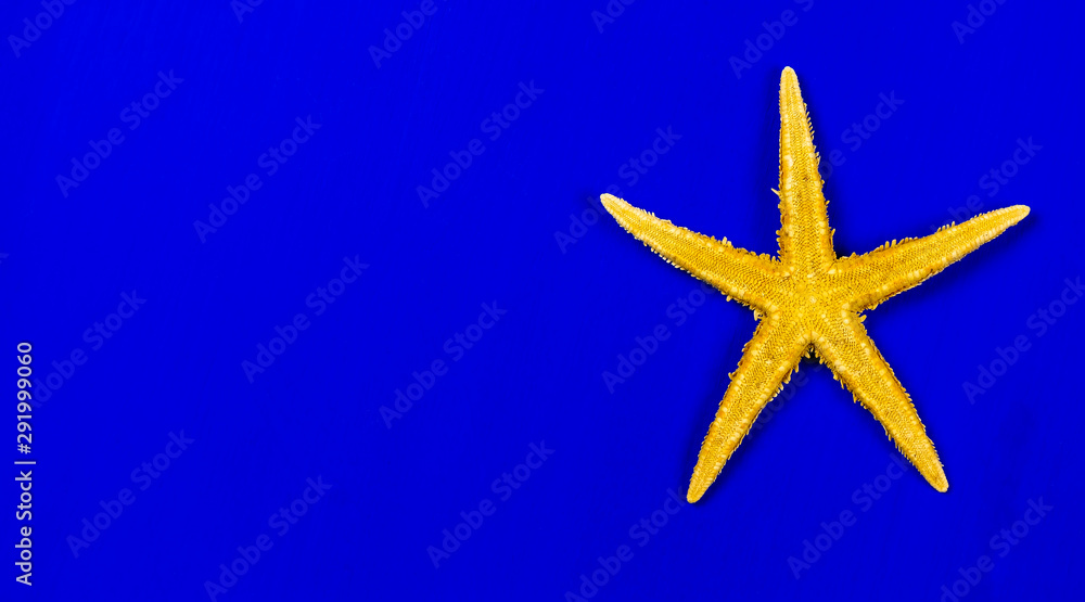 bright yellow starfish close up on a blue background isolated , sea star on a table , seafood bright yellow starfish close up on a blue background isolated , sea star on a table , seafood