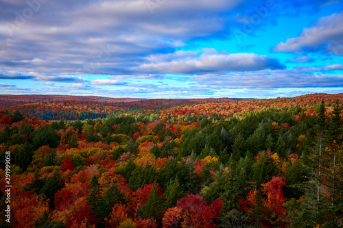 Algonquin fall colours Provincial Park Ontario