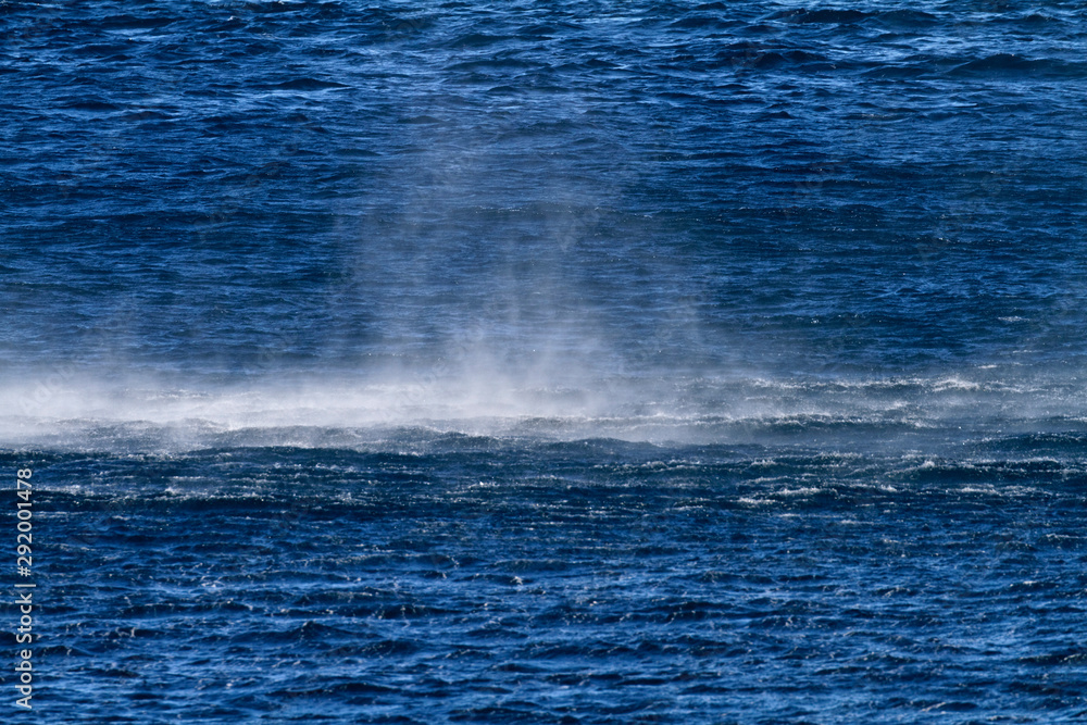 Naklejka premium Bura on Adriatic Sea near Pag, Croatia