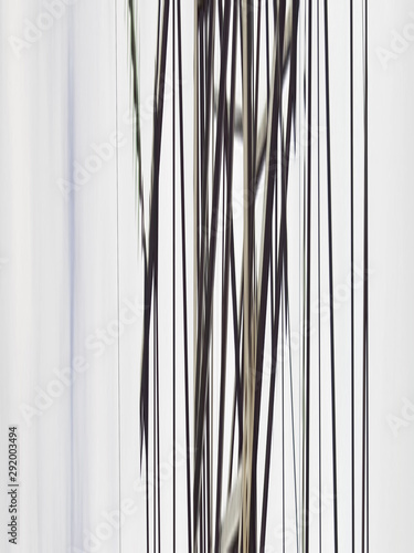 abstraction with colored parallel lines