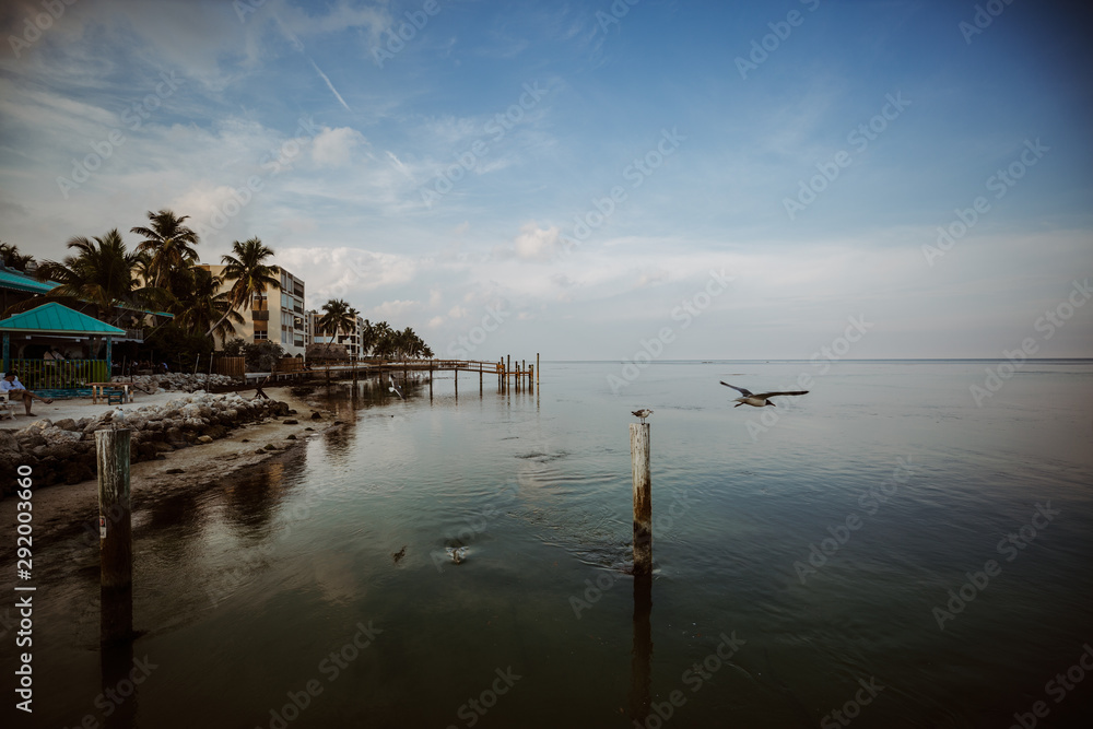 Seagulls fly over the calm waters of the bay in the Florida Keys Seagulls fly over the calm waters of the bay in the Florida Keys