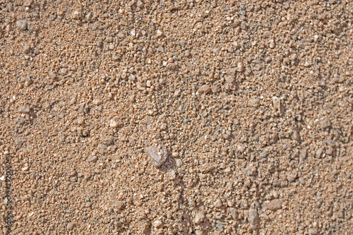 Textura arena gruesa Full HD