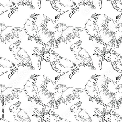 Vector Sky bird cockatoo in a wildlife isolated. Black and white engraved ink art. Seamless background pattern.