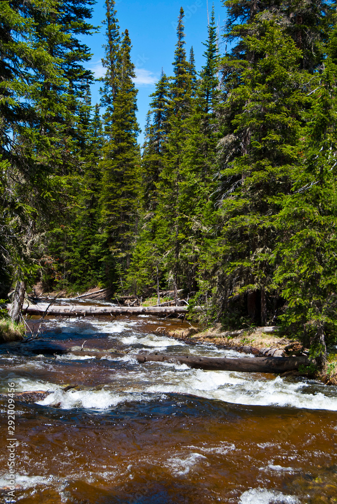 river in forest river in forest