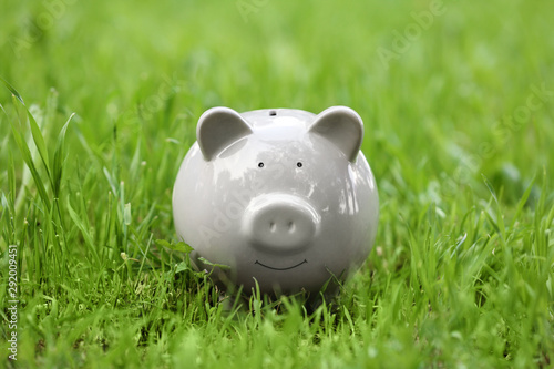 Cute piggy bank in green grass outdoors