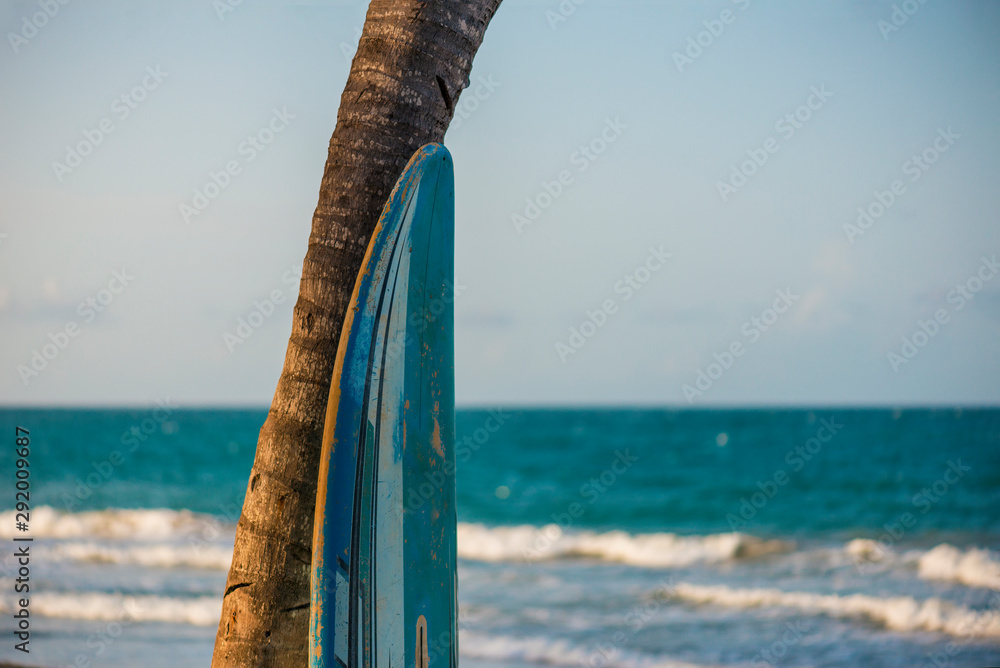 surfboard leaning against a palm tree with the ocean in the backgroung ...