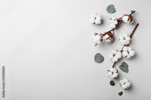 Fototapeta Płaska kompozycja świecka z bawełnianymi kwiatami na jasnoszarym tle. Miejsce na tekst