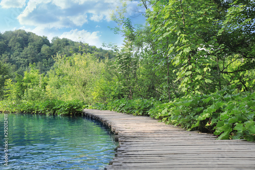 Wooden bridge over river and beautiful view of forest