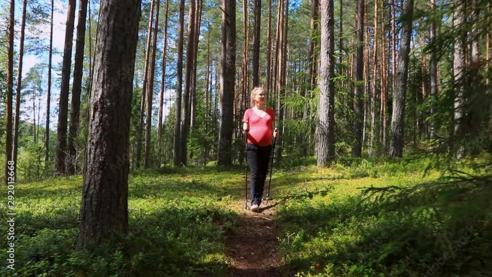 Pregnant woman walking in a summer forest using hiking poles_1554 Pregnant woman walking in a summer forest using hiking poles_1554