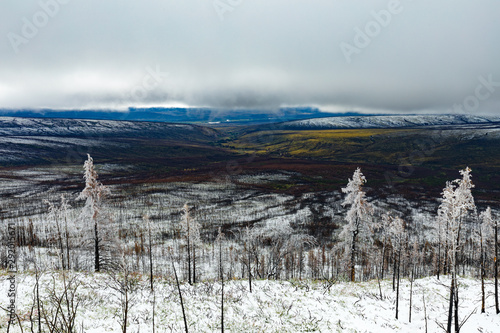 Snow on burnt forest in Ogilvie Mountains YT Canada photo