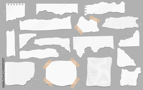 Set of paper different shapes scraps.