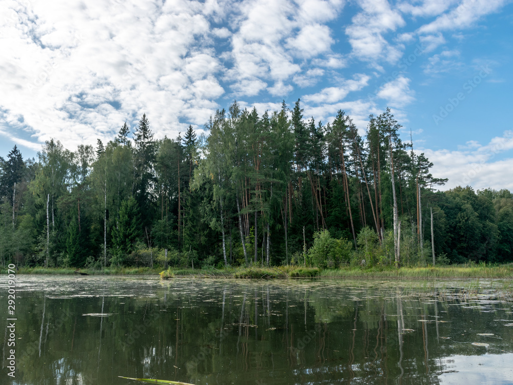 picture overlooking the lake on a sunny summer day, the sky and the reflections of trees on the water picture overlooking the lake on a sunny summer day, the sky and the reflections of trees on the water