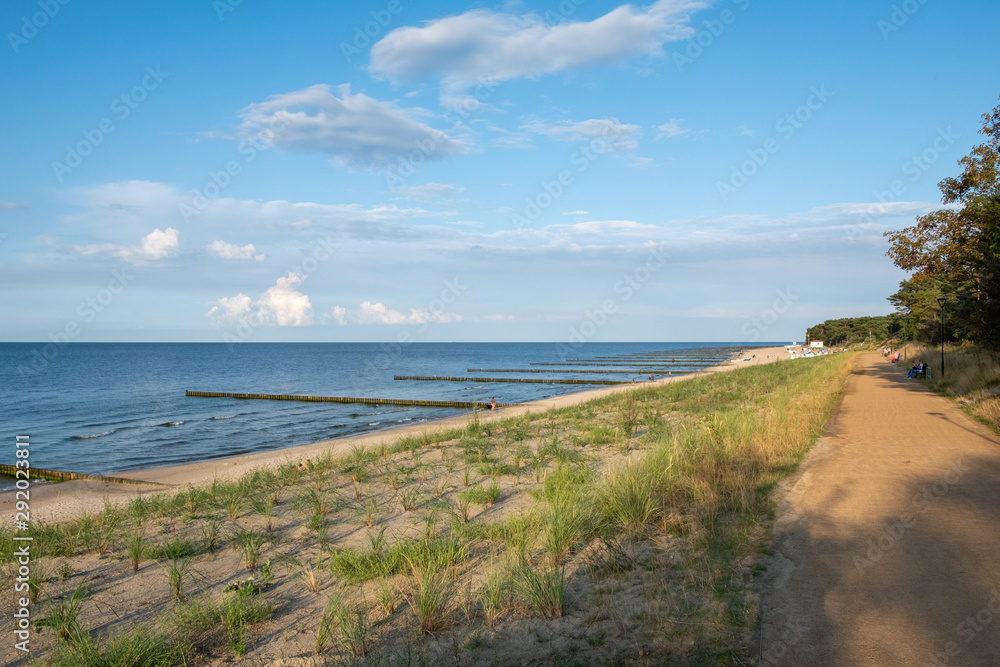 The view of the dunes and the beach of Zempin on the island of Usedom on a sunny day