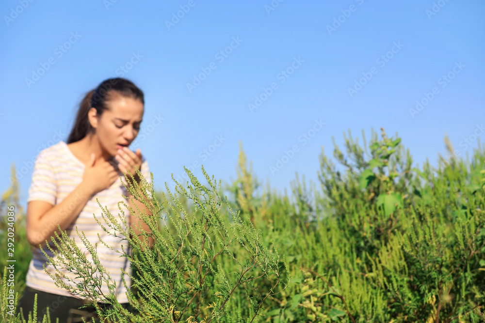 Blooming ragweed plant (Ambrosia genus) and blurred woman on background, closeup. Seasonal allergy Blooming ragweed plant (Ambrosia genus) and blurred woman on background, closeup. Seasonal allergy