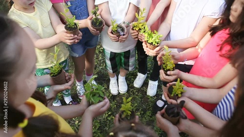 Children's hands holding sapling with plants photo