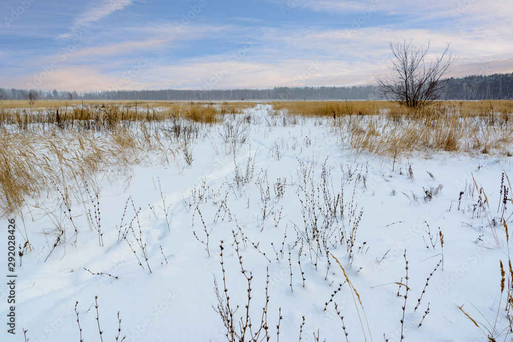 Winter landscape. Snowy field, trees and beautiful blue sky. Winter panorama. Winter landscape. Snowy field, trees and beautiful blue sky. Winter panorama.