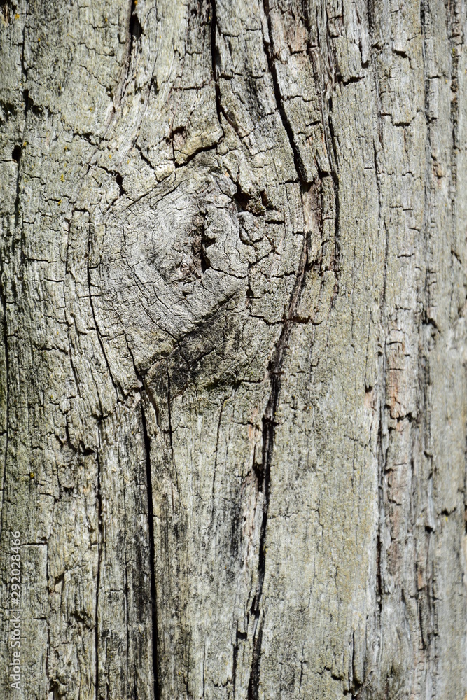 Holz Hintergrund Holzmaserung abstrakt