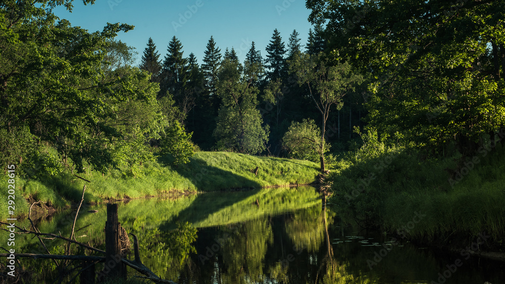 summer fairy forest. picturesque wild forest river with high banks densely overgrown with lush green grass and trees with a beautiful reflection in calm water with side evening sunlight