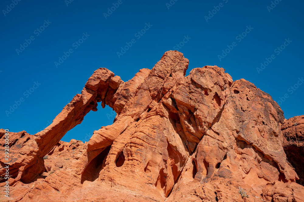 Elephant Rock of Valley of Fire State Park Elephant Rock of Valley of Fire State Park