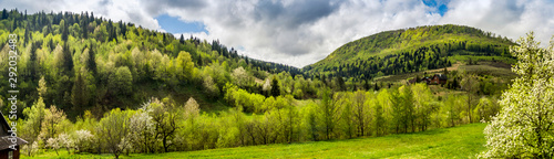 panorama of the Carpathian mountains