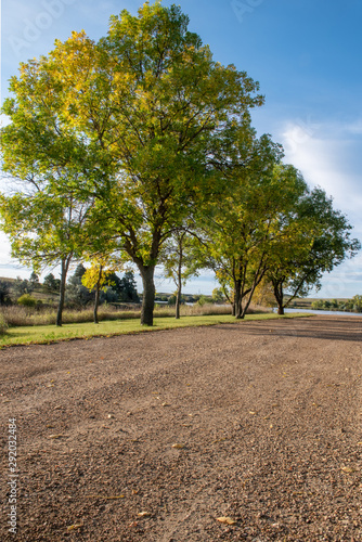 dirt road with fall leaves