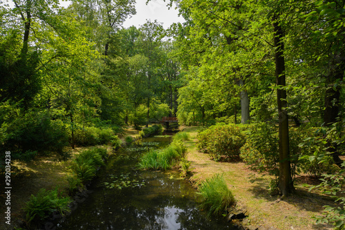 brook in the green park