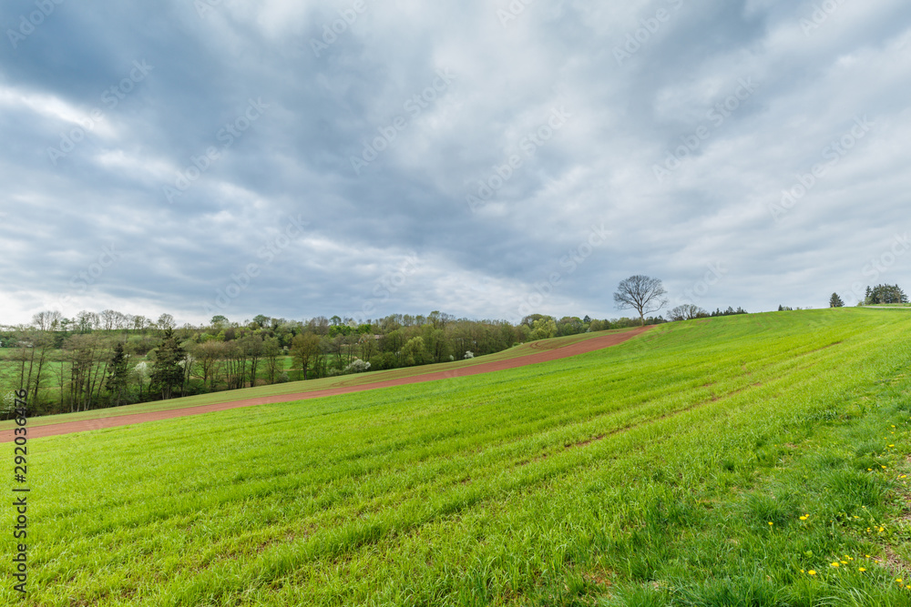 German Eifel landscape in spring with gentle slopes and budding green of trees and shrubs and flowering blackthorn against blue sky with clouds veil