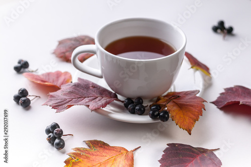 White Tea Mug, leaves and berries top view. Autumn composition. Red foliage, ceramic teacup and small fruits on white background. Fall season creative botanical backdrop. Copy space