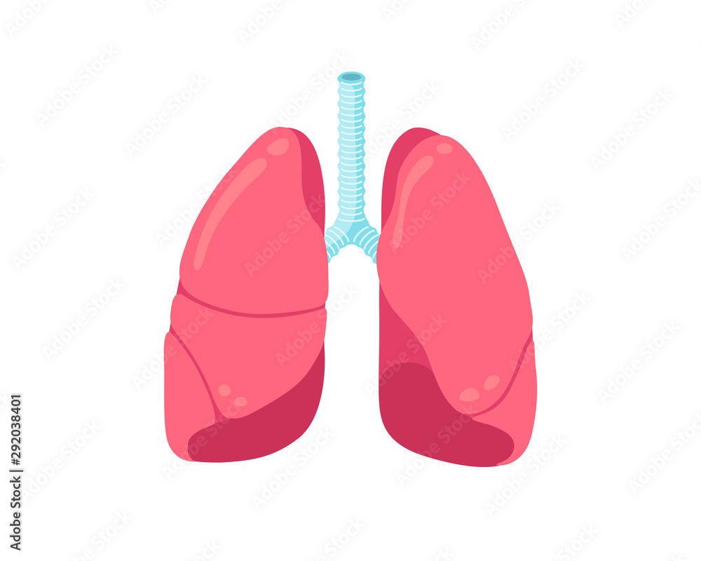 Lungs flat icon. Human respiratory system healthy internal organ. Healthcare medicine anatomy vector illustration Lungs flat icon. Human respiratory system healthy internal organ. Healthcare medicine anatomy vector illustration