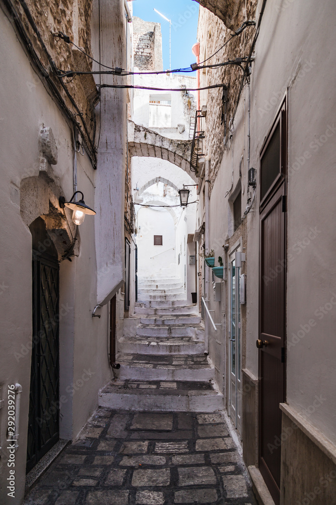 Obraz premium Ostuni, Italy - August 2019: Historic center of white city of Ostuni in Puglia, in a day of August