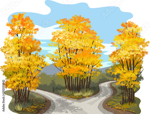 Vector illustration of fork in the road through a forest of autumn trees