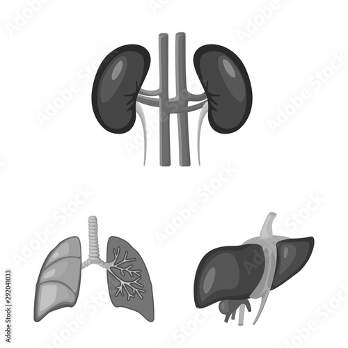 Vector illustration of internal and medical sign. Collection of internal and health stock vector illustration.