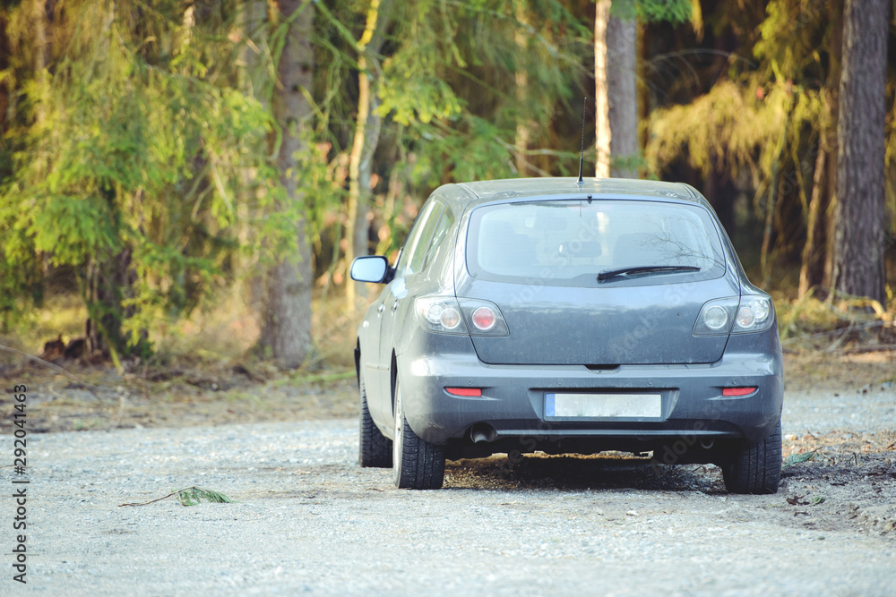 Car parked next to the wood