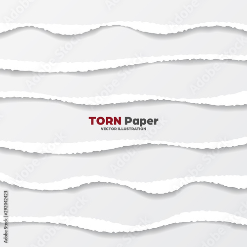 Realistic torn paper edges collection on gray background. White ripped paper strips. Vector illustration.